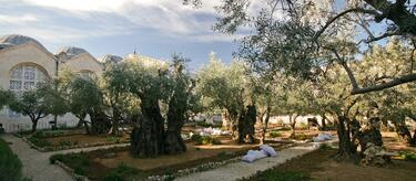 christian-Gethsemane-Garden