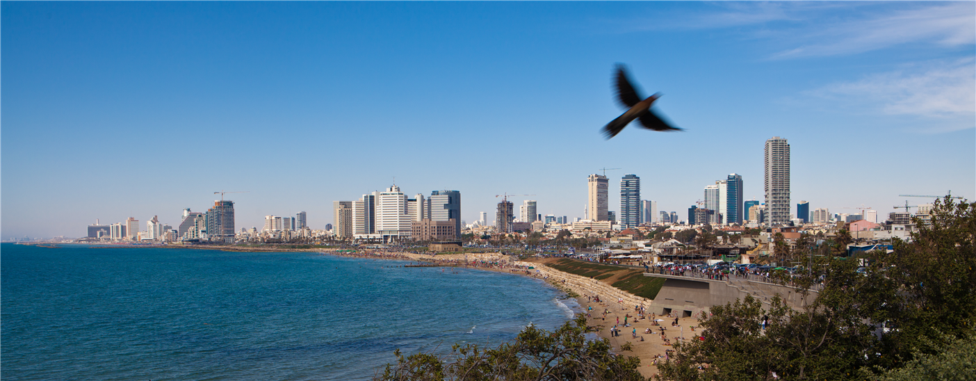 Panoramic-Tel-Aviv.jpg